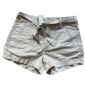 American Eagle Outfitters Ladies Women's  Shorts Size 2 High Rise Stripe NWT